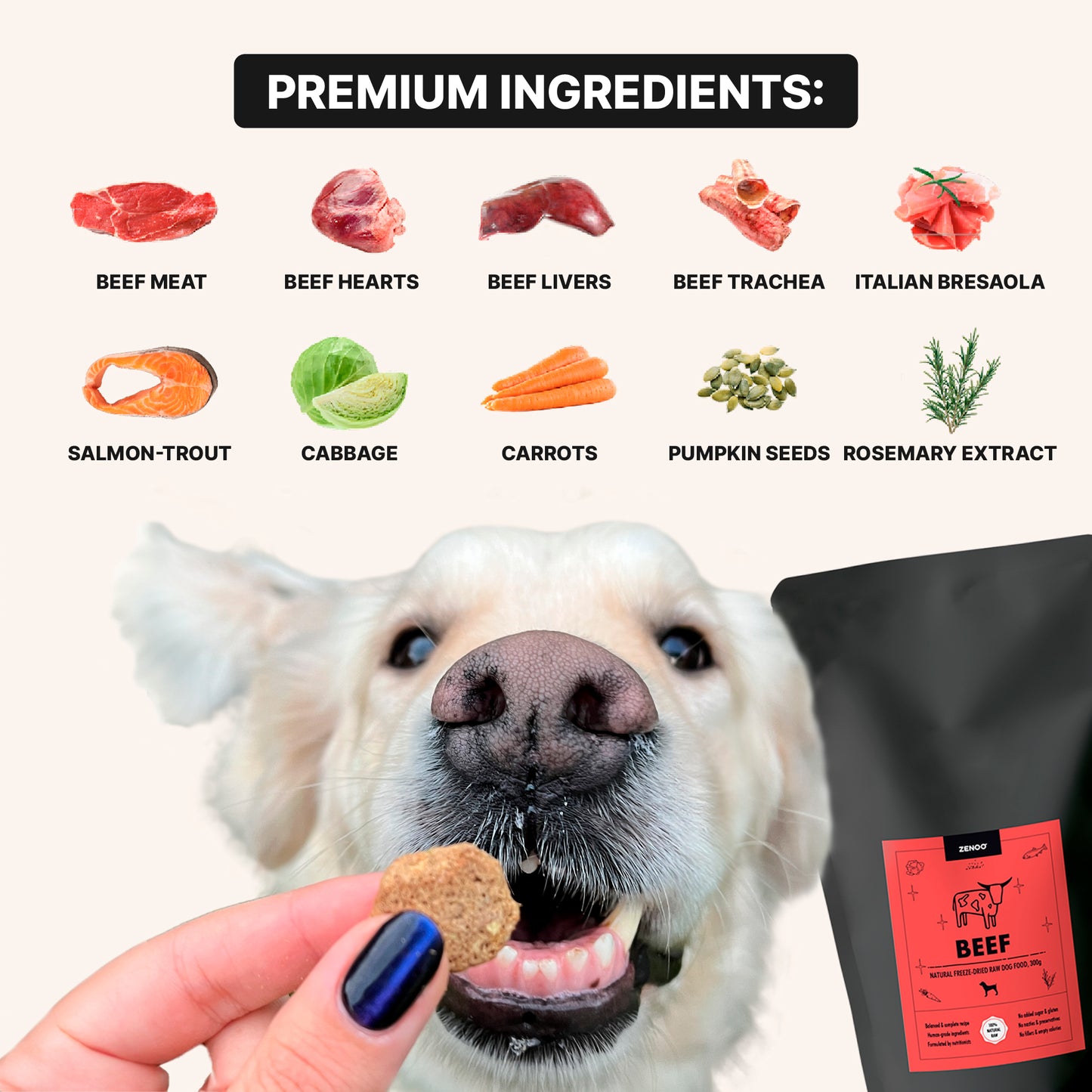 Natural & Balanced Beef Recipe for Happy Pets